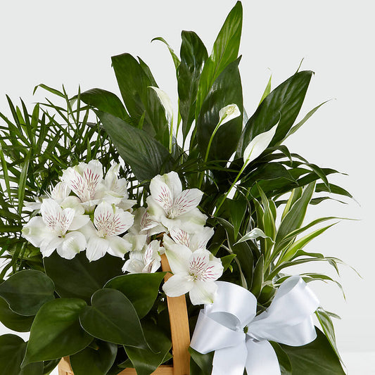 Peace & Serenity Dishgarden – Joannies Floral Of Birch Run, Birch Run MI