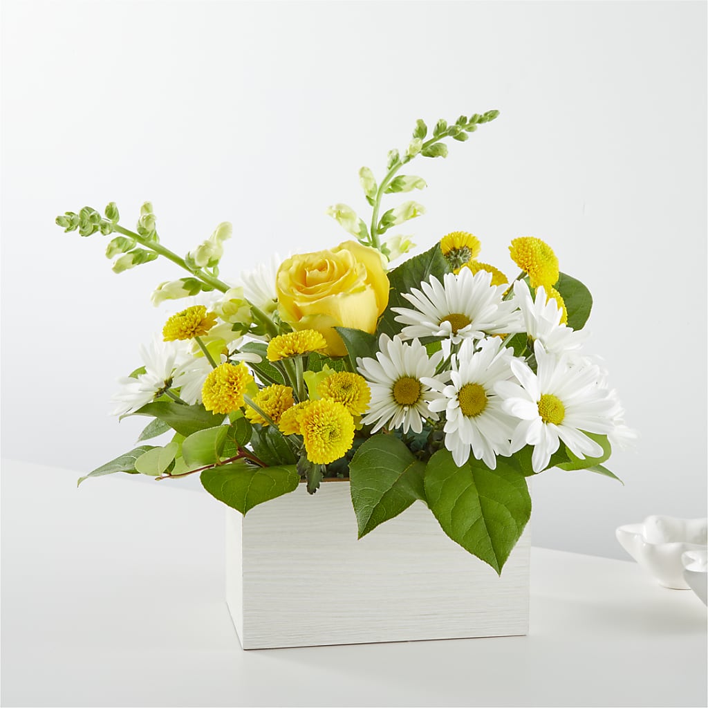 Sun Salutation Box Bouquet – Joannies Floral Of Birch Run, Birch Run MI