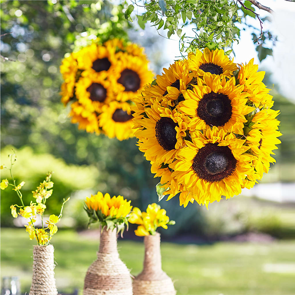 Sublime Garden Hanging Arrangement – Joannies Floral Of Birch Run, Birch Run MI