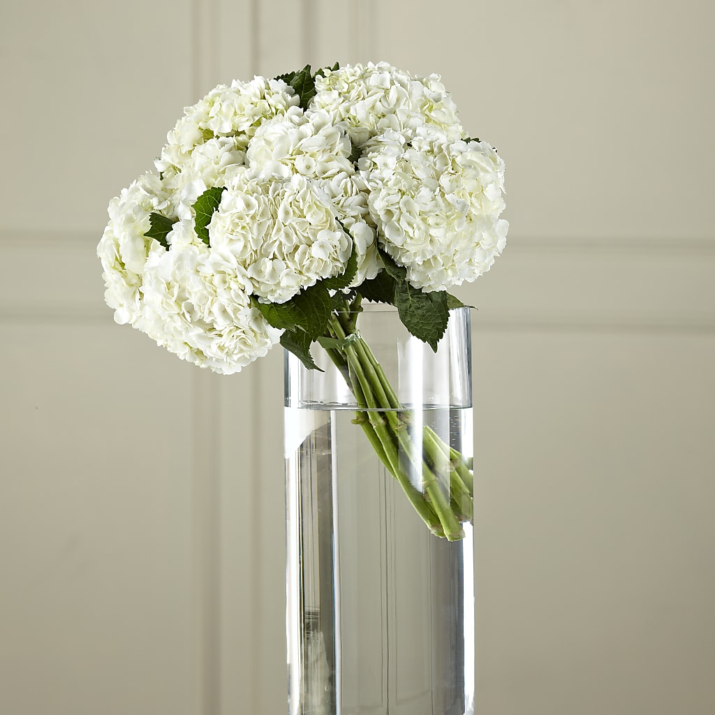 White Hydrangea Hand-Tied Bouquet – Joannies Floral Of Birch Run, Birch Run MI