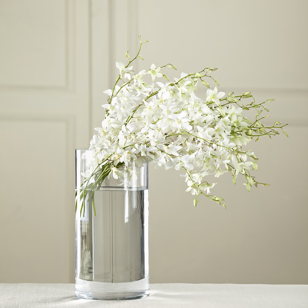 White Dendrobium Bouquet – Joannies Floral Of Birch Run, Birch Run MI