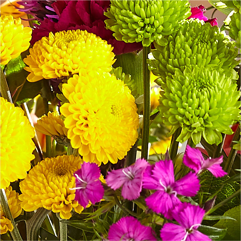 Bold & Bright – A Florist Original –  Joannies Floral Of Birch Run, Birch Run MI