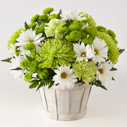Lucky Charm Basket (Standard) –  Joannies Floral Of Birch Run, Birch Run MI