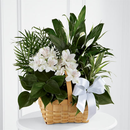 Peace & Serenity Dishgarden –  Joannies Floral Of Birch Run, Birch Run MI