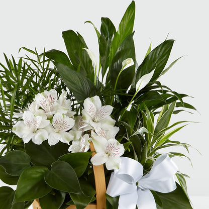 Peace & Serenity Dishgarden –  Joannies Floral Of Birch Run, Birch Run MI
