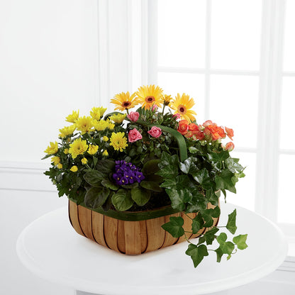 Gentle Blossoms Basket –  Joannies Floral Of Birch Run, Birch Run MI