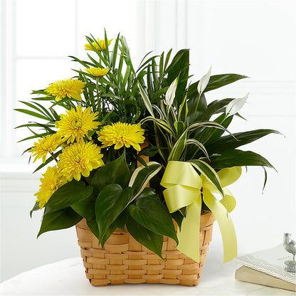 Loving Light Dishgarden –  Joannies Floral Of Birch Run, Birch Run MI