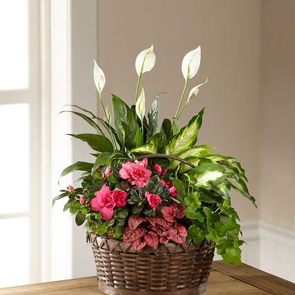 Dream in Pink Dishgarden –  Joannies Floral Of Birch Run, Birch Run MI