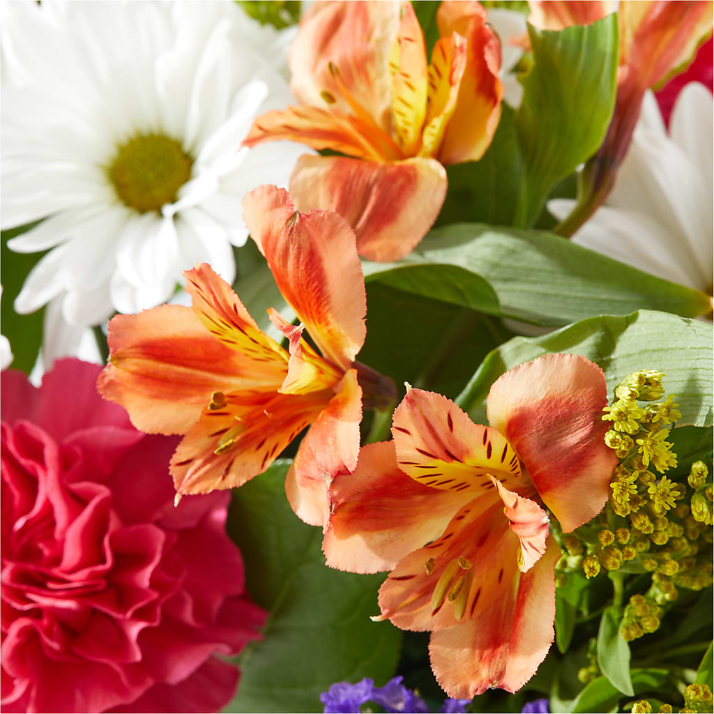 Oopsie Daisy Box Bouquet –  Joannies Floral Of Birch Run, Birch Run MI