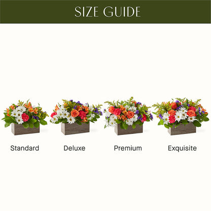 Oopsie Daisy Box Bouquet –  Joannies Floral Of Birch Run, Birch Run MI