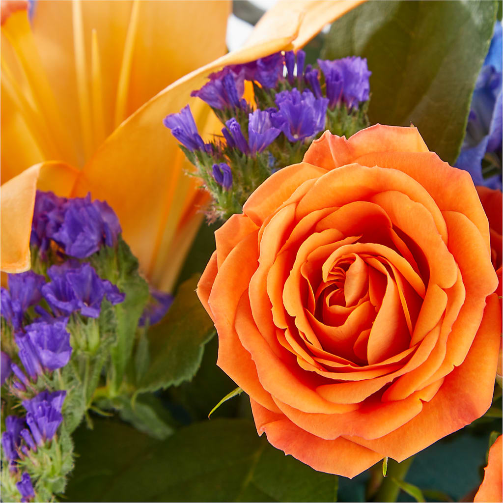 Radiant Citrus Box Bouquet –  Joannies Floral Of Birch Run, Birch Run MI