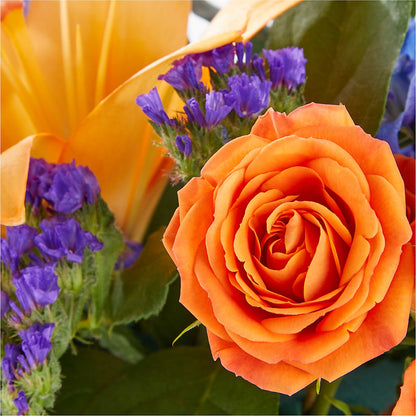 Radiant Citrus Box Bouquet –  Joannies Floral Of Birch Run, Birch Run MI