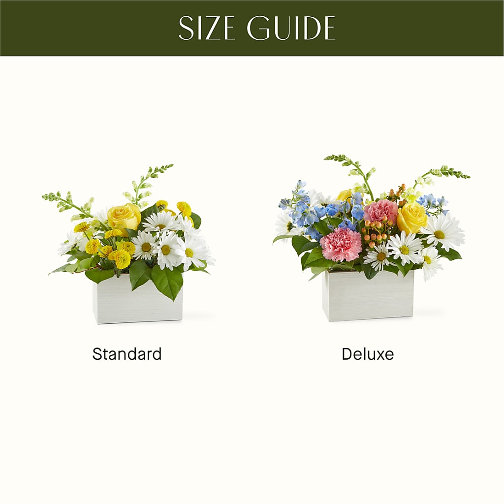 Sun Salutation Box Bouquet –  Joannies Floral Of Birch Run, Birch Run MI