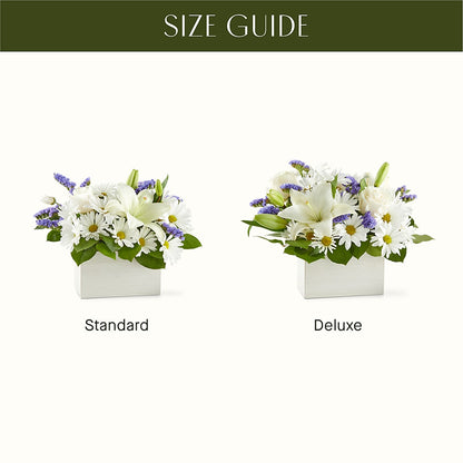 Beyond Blue Box Bouquet –  Joannies Floral Of Birch Run, Birch Run MI