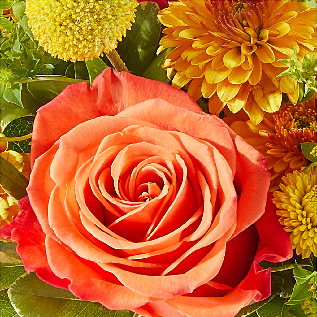 Gourdgeous Pumpkin –  Joannies Floral Of Birch Run, Birch Run MI