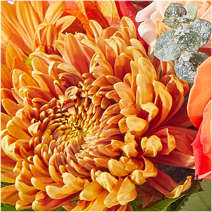 Scenic Route Bouquet –  Joannies Floral Of Birch Run, Birch Run MI