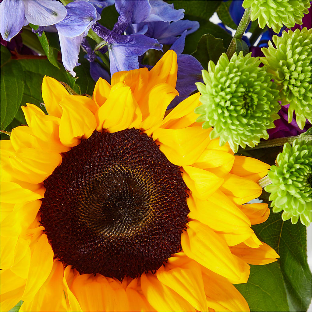 Catching Rays Bouquet –  Joannies Floral Of Birch Run, Birch Run MI