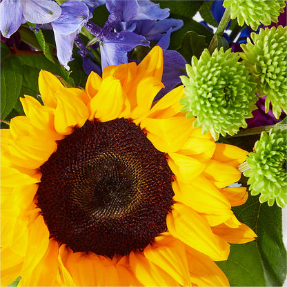 Catching Rays Bouquet –  Joannies Floral Of Birch Run, Birch Run MI