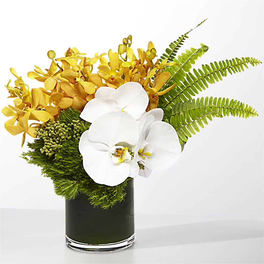 The Tropics –  Joannies Floral Of Birch Run, Birch Run MI