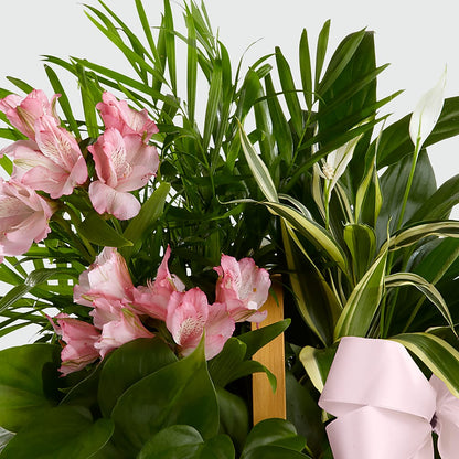 Living Spirit Dishgarden –  Joannies Floral Of Birch Run, Birch Run MI