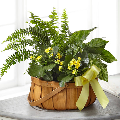 Always Dear Dishgarden –  Joannies Floral Of Birch Run, Birch Run MI