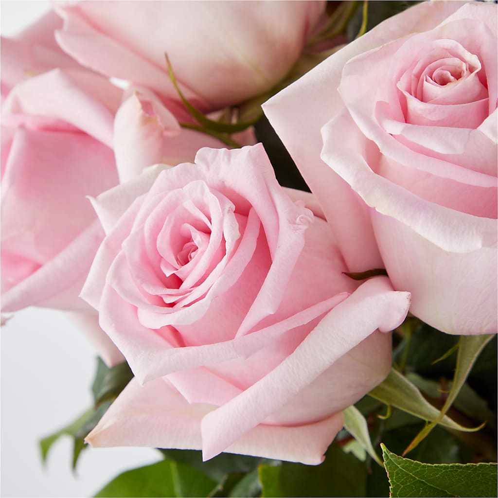 Picture Perfect Pink Rose Bouquet –  Joannies Floral Of Birch Run, Birch Run MI