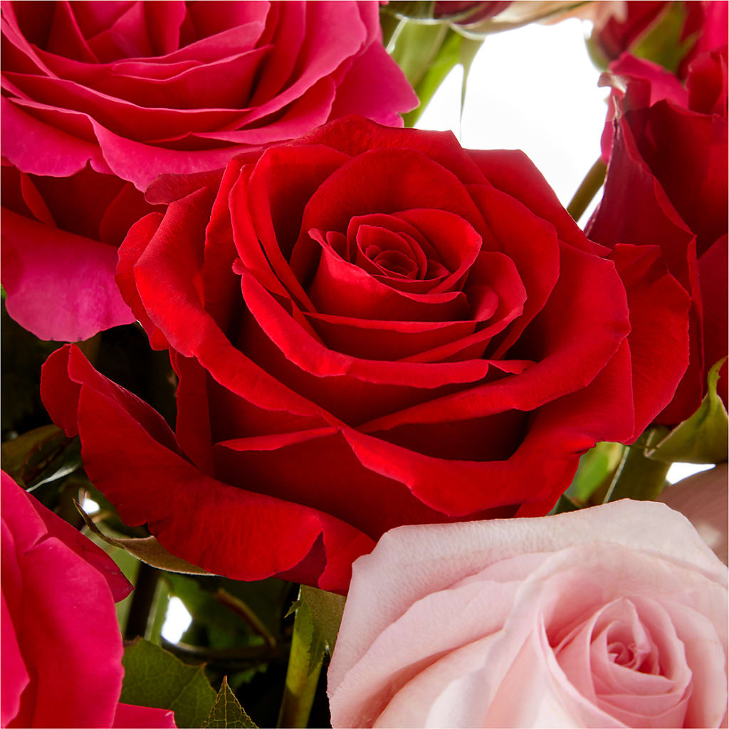 Love Notes Rose Bouquet –  Joannies Floral Of Birch Run, Birch Run MI