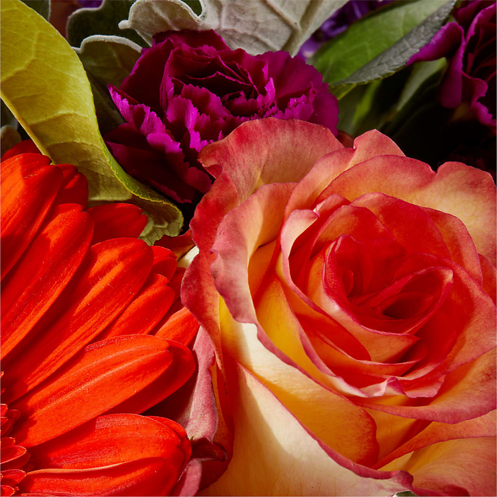 Sangria Bouquet –  Joannies Floral Of Birch Run, Birch Run MI