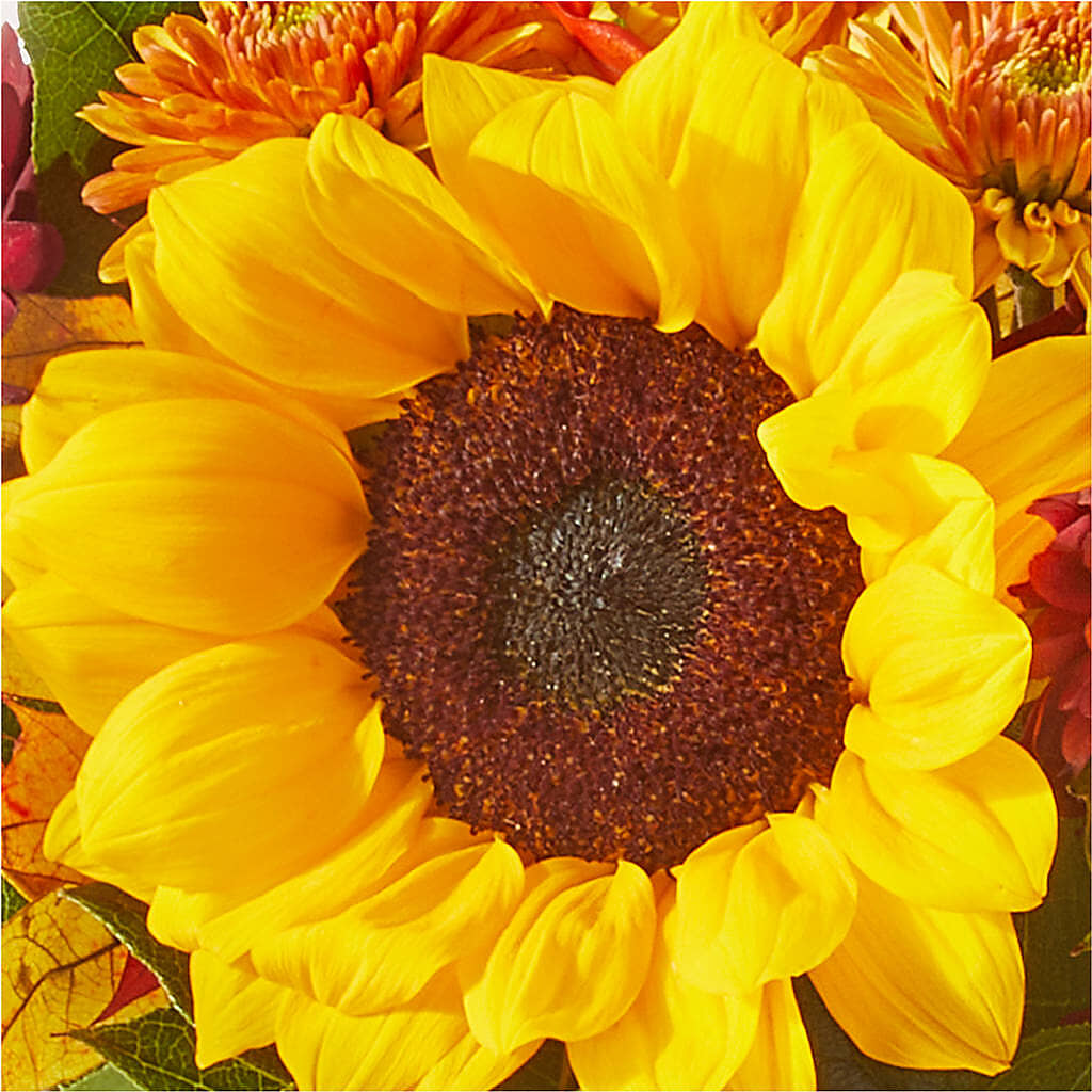 Sunny Side Bouquet –  Joannies Floral Of Birch Run, Birch Run MI