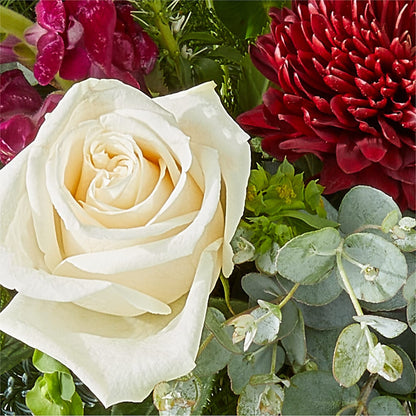 Cranberry Fizz Bouquet –  Joannies Floral Of Birch Run, Birch Run MI