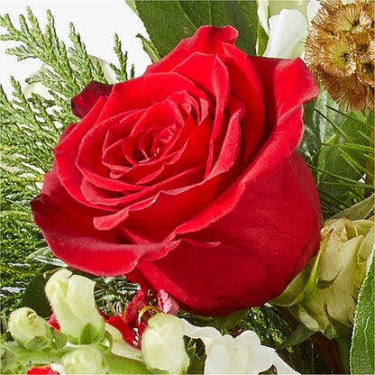 Deck the Halls Bouquet –  Joannies Floral Of Birch Run, Birch Run MI