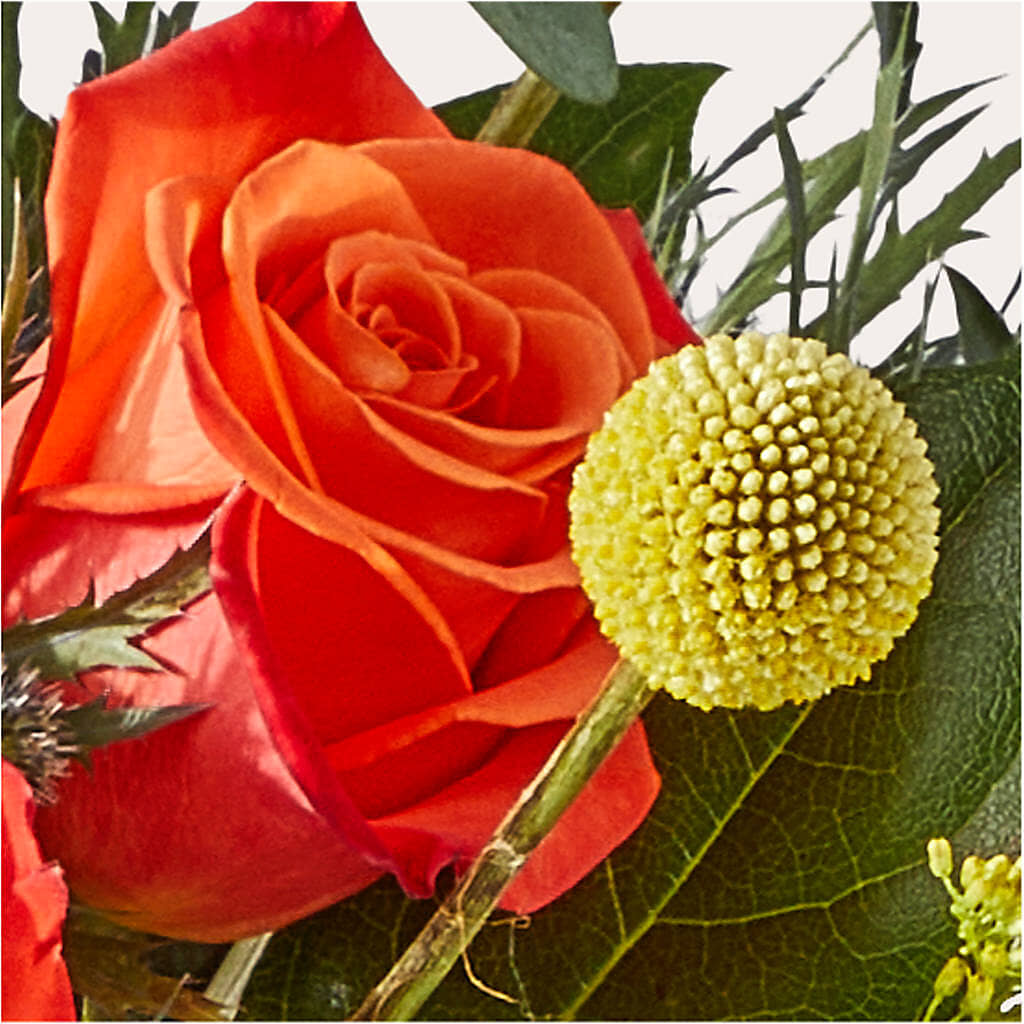 Disco Bouquet –  Joannies Floral Of Birch Run, Birch Run MI