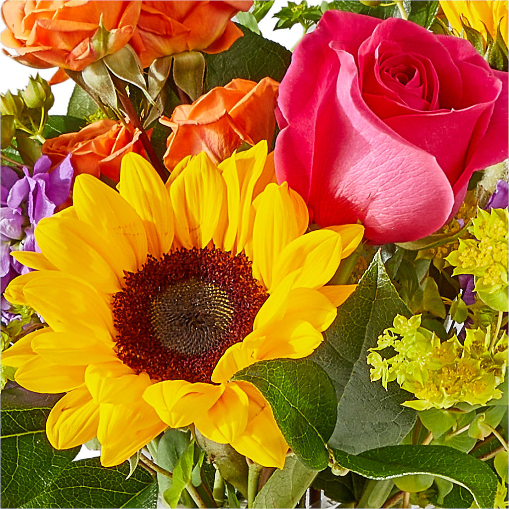 Vibrant Greetings Bouquet –  Joannies Floral Of Birch Run, Birch Run MI
