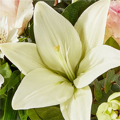 Ballet Slippers Bouquet –  Joannies Floral Of Birch Run, Birch Run MI