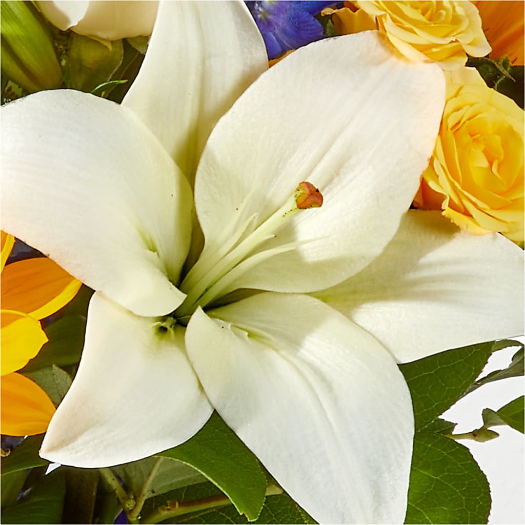 Wonderfully Sunny Bouquet –  Joannies Floral Of Birch Run, Birch Run MI