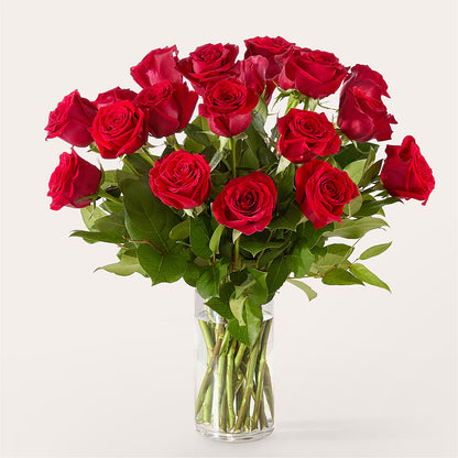 The One Red Rose Bouquet –  Joannies Floral Of Birch Run, Birch Run MI