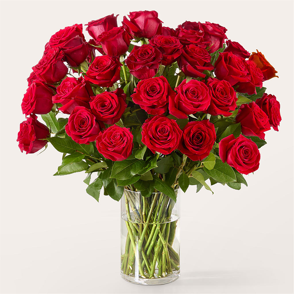 The One Red Rose Bouquet –  Joannies Floral Of Birch Run, Birch Run MI