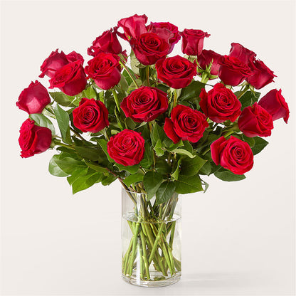 The One Red Rose Bouquet –  Joannies Floral Of Birch Run, Birch Run MI