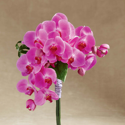 Glorious Bouquet –  Joannies Floral Of Birch Run, Birch Run MI