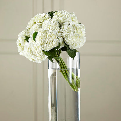 White Hydrangea Hand-Tied Bouquet –  Joannies Floral Of Birch Run, Birch Run MI