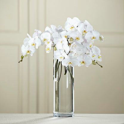 White Phalaenopsis Bouquet –  Joannies Floral Of Birch Run, Birch Run MI